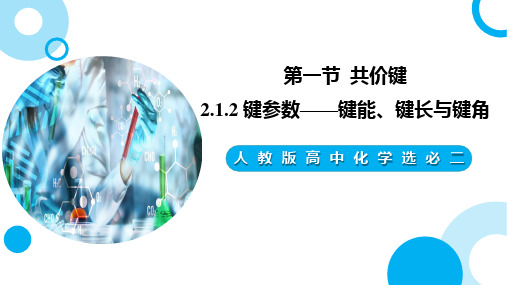 【高中化学】键参数—键能、键长与键角 课件 2023-2024学年高二化学人教版2019选择性必修2