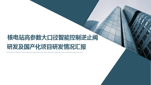 核电站高参数大口径智能控制逆止阀研发及国产化项目研发情况汇报