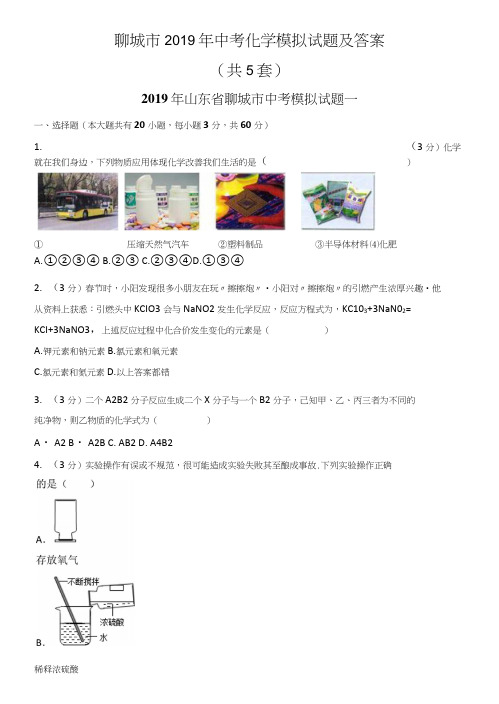 聊城市2019年中考化学模拟试题及答案.docx
