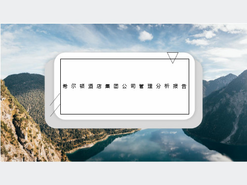 希尔顿酒店集团公司管理分析报告