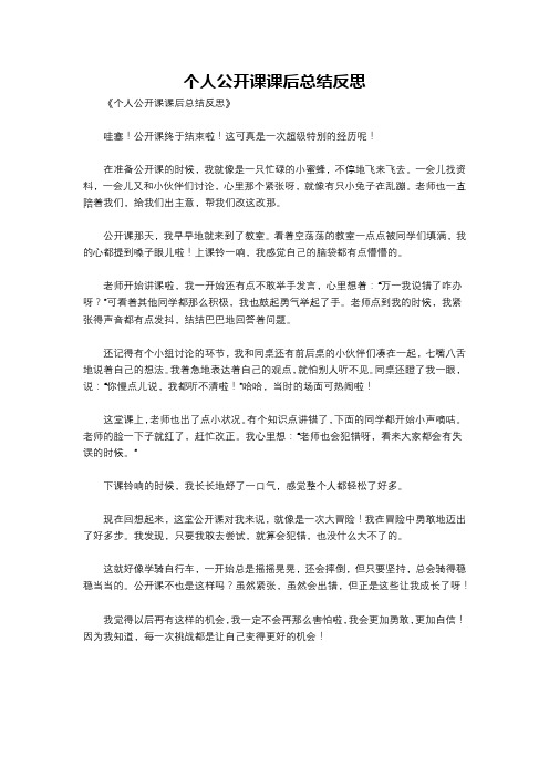 个人公开课课后总结反思