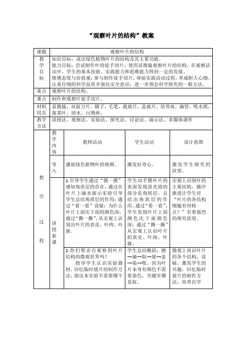 观察叶片的结构教案