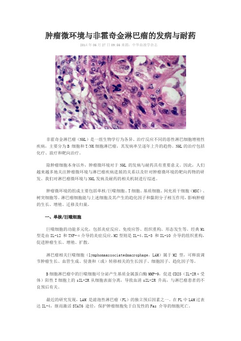 肿瘤微环境与非霍奇金淋巴瘤的发病与耐药