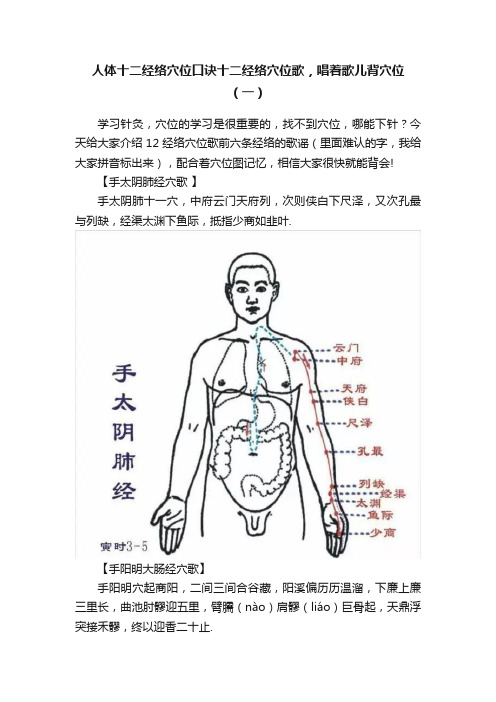 人体十二经络穴位口诀十二经络穴位歌，唱着歌儿背穴位（一）