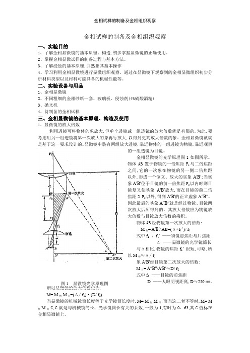 金相试样的制备及金相组织观察