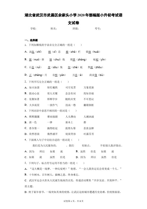 湖北省武汉市武昌区余家头小学2020年部编版小升初考试语文试卷(含答案解析)