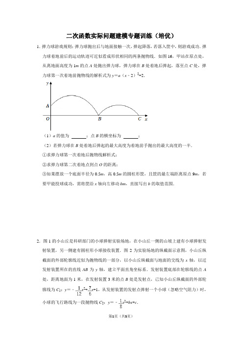 二次函数实际问题建模专题训练(培优)