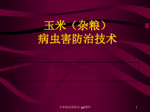 玉米病虫害防治 ppt课件