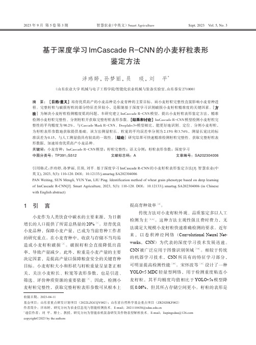 基于深度学习ImCascade_R-CNN的小麦籽粒表形鉴定方法