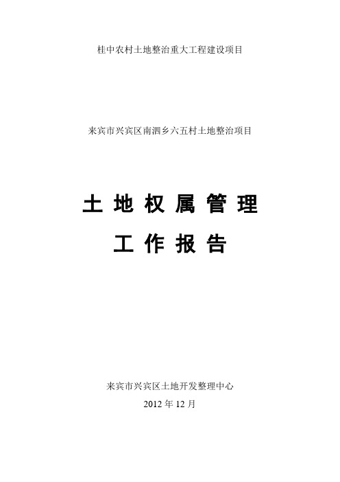 (六五项目)土地权属调整和管理情况 业主