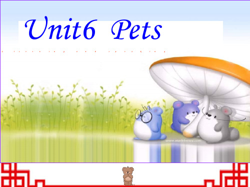 牛津深圳初中八年级英语下册《Unit 6 Pets》 listening and speaking