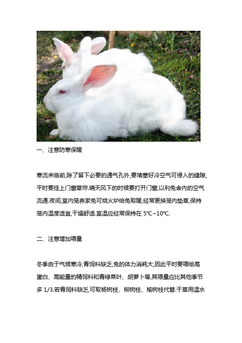 养兔经验：在冬季如何养好兔子？