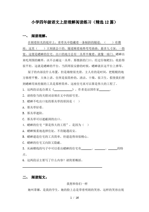 小学四年级语文上册理解阅读练习(精选12篇)