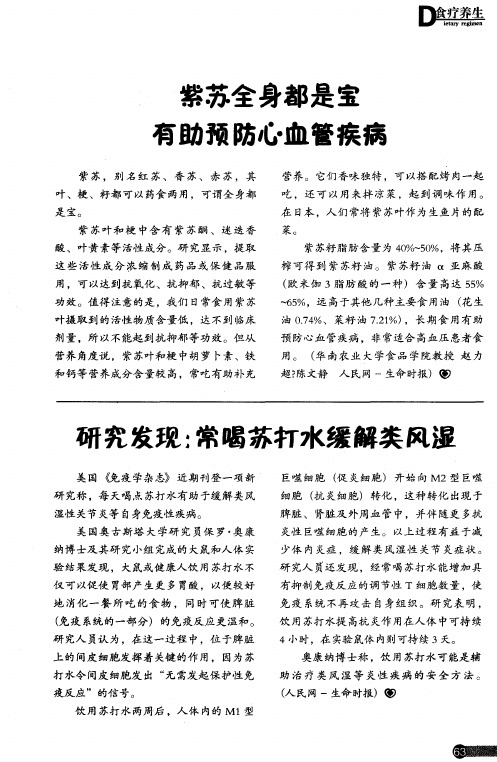紫苏全身都是宝 有助预防心血管疾病