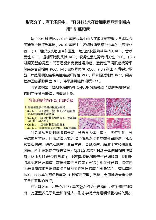 形态分子，庖丁乐解牛：“FISH技术在肾细胞癌病理诊断应用”讲座纪要