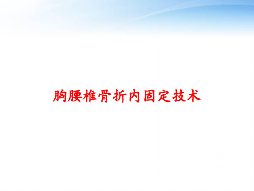 胸腰椎骨折内固定技术 ppt课件