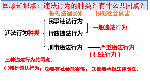 人教版道德与法治八年级上册5.2预防犯罪课件(共28张PPT)