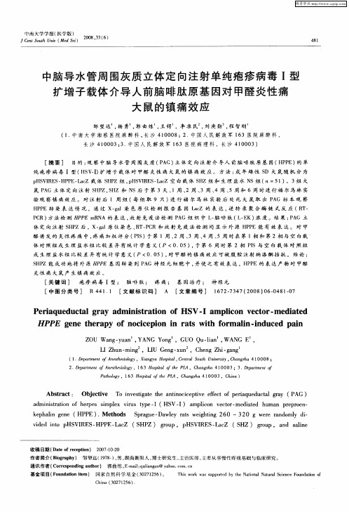 中脑导水管周围灰质立体定向注射单纯疱疹病毒Ⅰ型扩增子载体介导人前脑啡肽原基因对甲醛炎性痛大鼠的镇