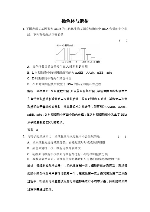 2017届浙科版  染色体与遗传 单元测试