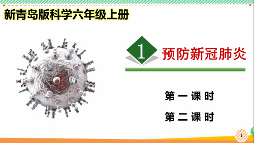 新青岛版科学六年级上册《预防新冠肺炎》优质课件