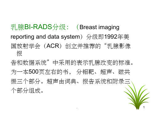 乳腺超声BIRADS分级课件