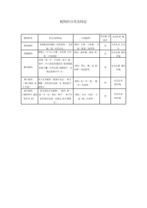 植物分类及特征