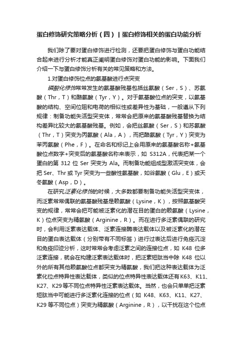 蛋白修饰研究策略分析（四）丨蛋白修饰相关的蛋白功能分析