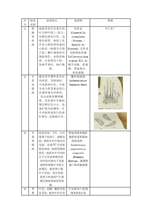 病理实习报告