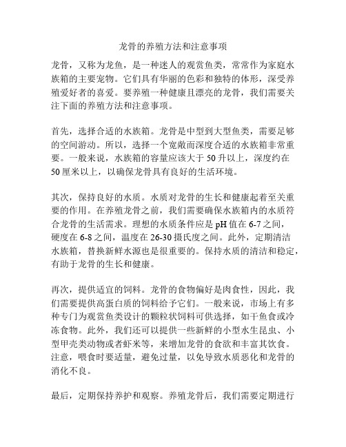 龙骨的养殖方法和注意事项