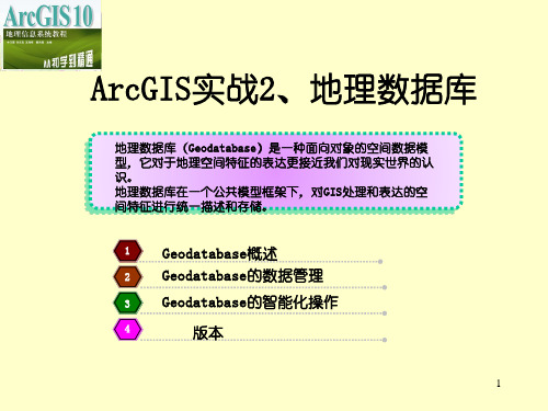 ArcGIS实战2、地理数据库