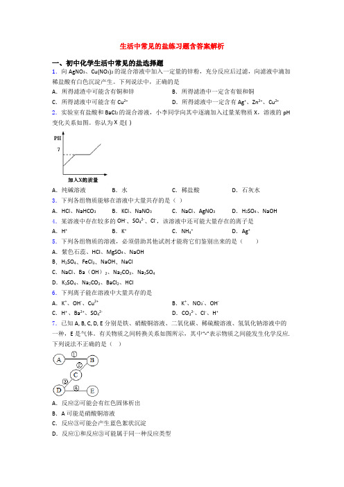 生活中常见的盐练习题含答案解析