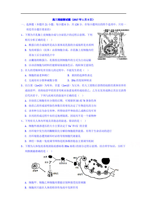 湖北省浠水县实验高级中学2017届高三理综测试题(2017年1月3日)