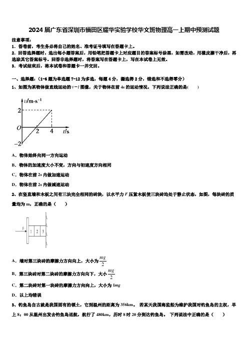 2024届广东省深圳市福田区耀华实验学校华文班物理高一上期中预测试题含解析