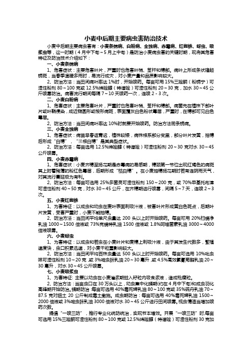 小麦中后期主要病虫害防治技术