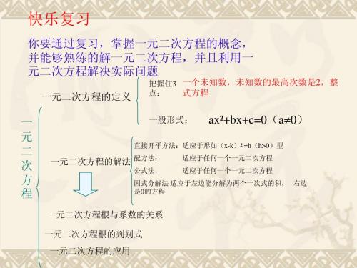 华师大版初三上一元二次方程复习