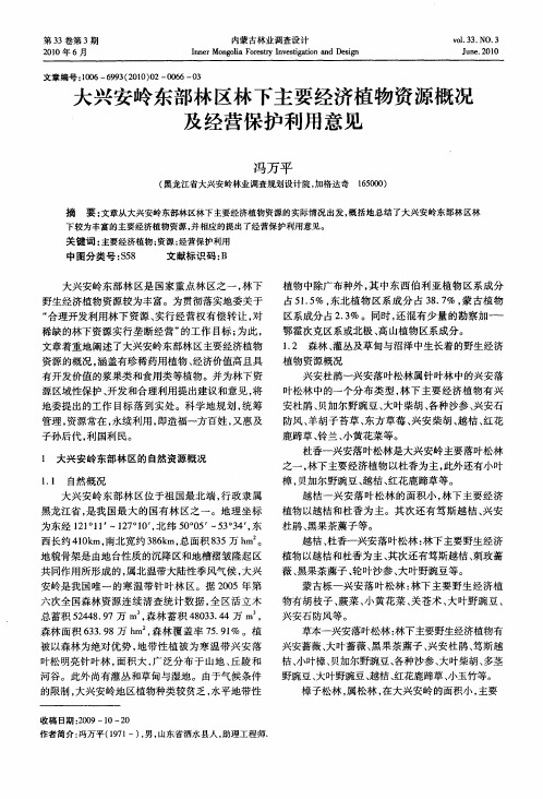 大兴安岭东部林区林下主要经济植物资源概况及经营保护利用意见