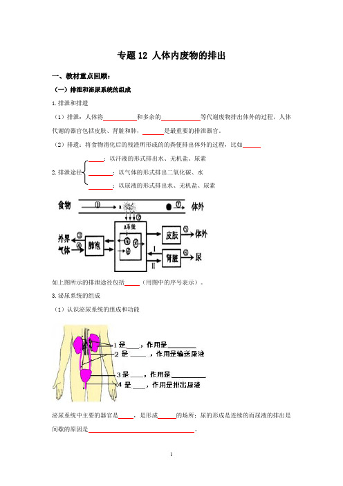 人教版生物中考一轮复习： 人体内废物的排出