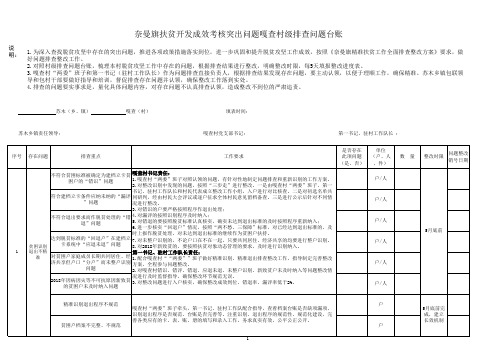 村级整改台账