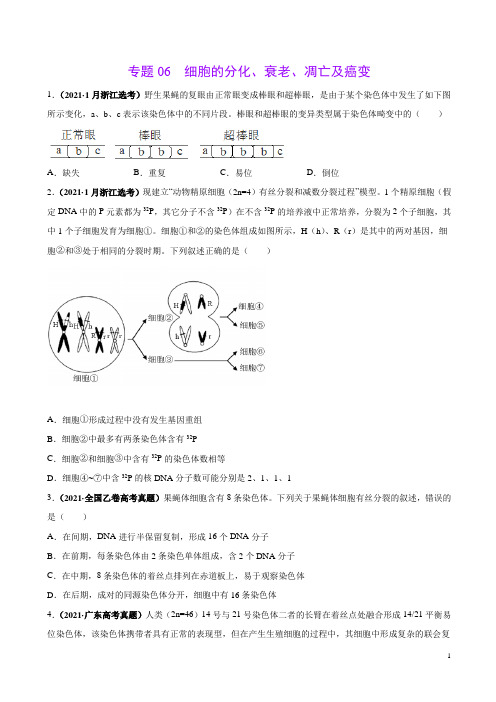 专题06细胞的分化、衰老、凋亡及癌变-三年(2019-2021)高考生物真题分项汇编(原卷版)