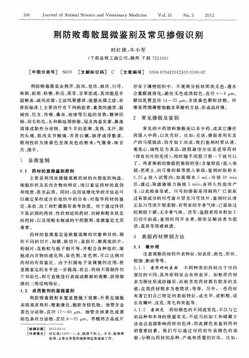 荆防败毒散显微鉴别及常见掺假识别