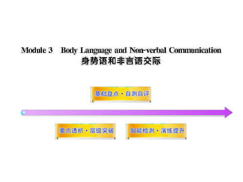 2012版高中英语全程复习方略配套课件:Module3(外研版必修4)
