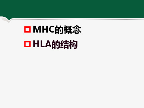 MHC概念及结构