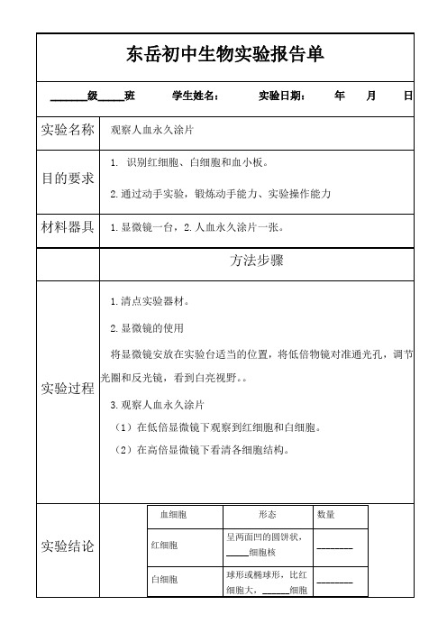 观察人血永久涂片实验报告