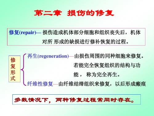 第二章 损伤的修复(第七版)