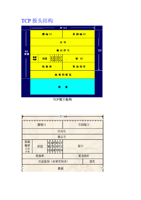 TCP报头概述