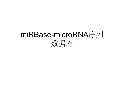 miRBase数据库简介解读