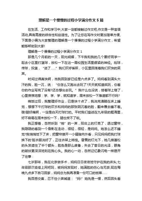 理解是一个慢慢的过程小学满分作文5篇