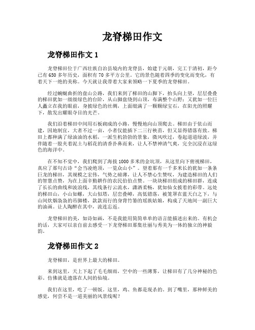 龙脊梯田作文