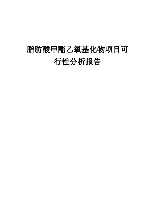 2024年脂肪酸甲酯乙氧基化物项目可行性分析报告