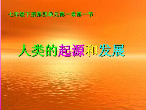 生物：4.1.1《人类的起源和发展》课件3(人教版七年级下)